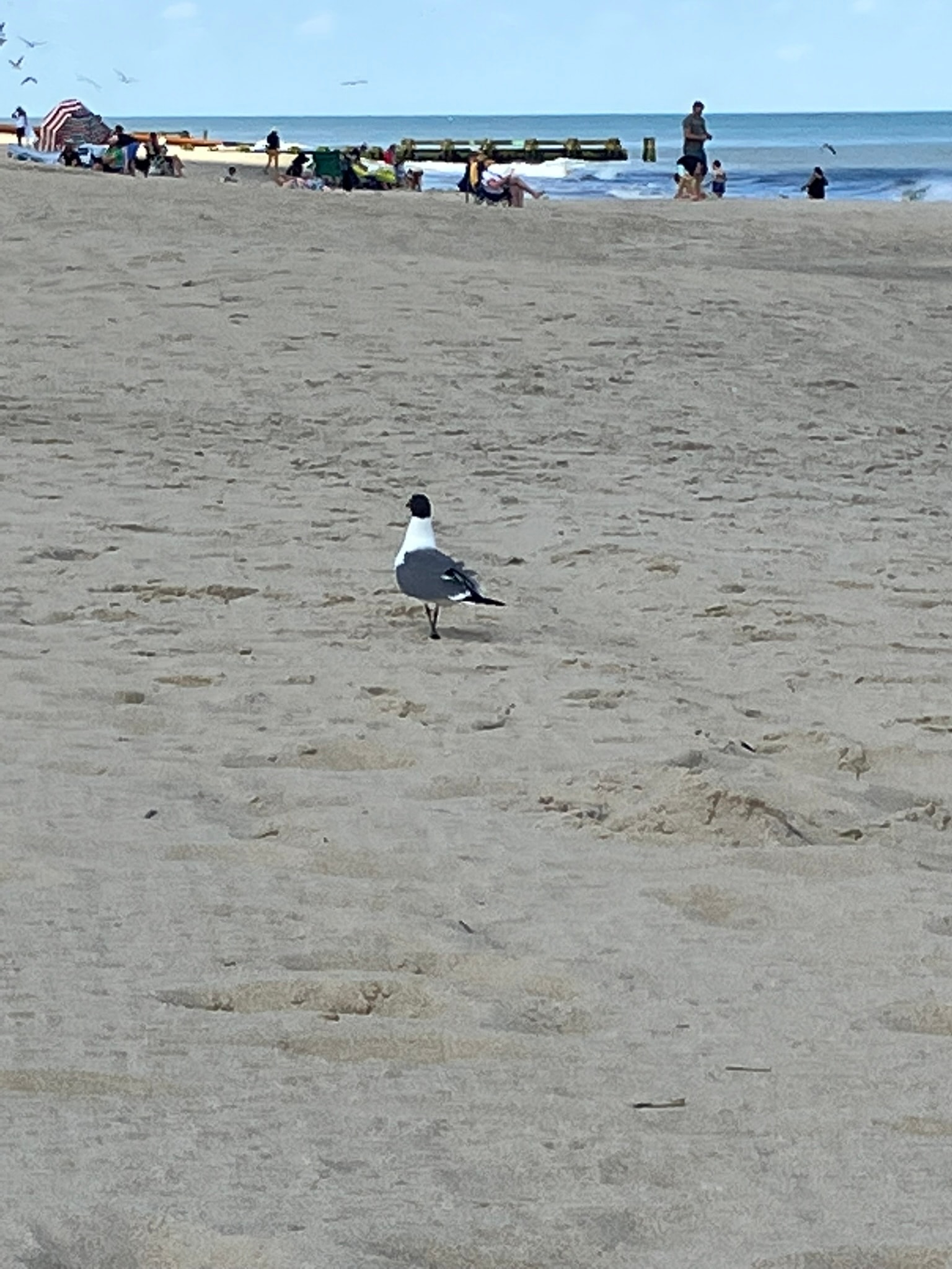 Beaches