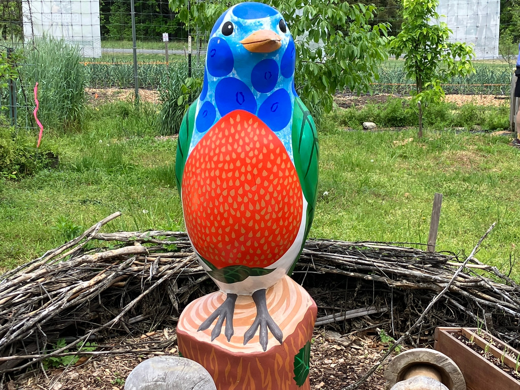 Birds